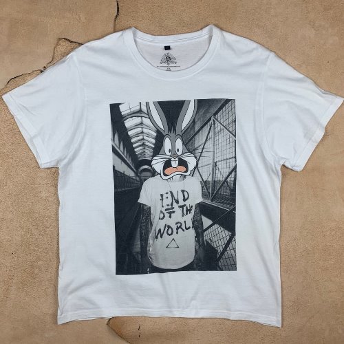 H621 - Vintage Looney Tunes T-Shirt (M , 95-100&quot;)